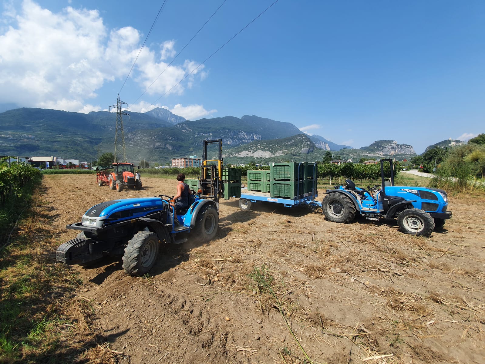 Azienda Agricola Matteo Briosi