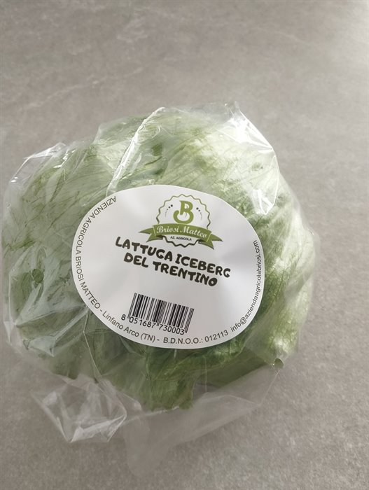 Prodotti - LATTUGA ICEBERG